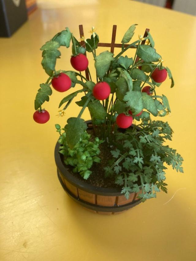 TUnnold_Tomato Class