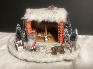 Snow Scene