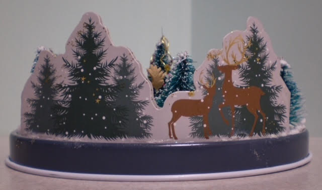 Snow Scene