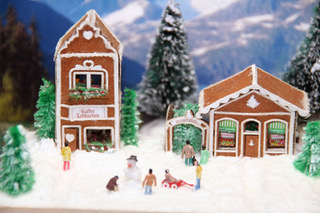 Snow Scene