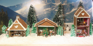 Snow Scene