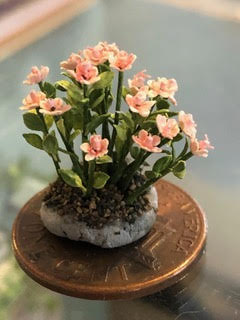 May Flowers