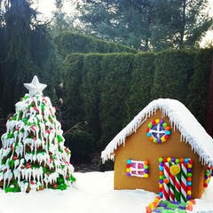 Snow Scene