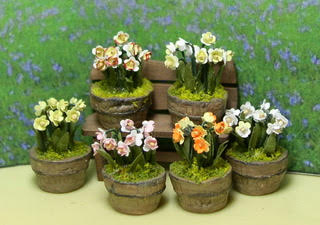 May Flowers