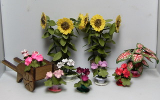 May Flowers