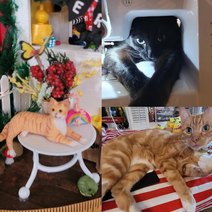Animals
