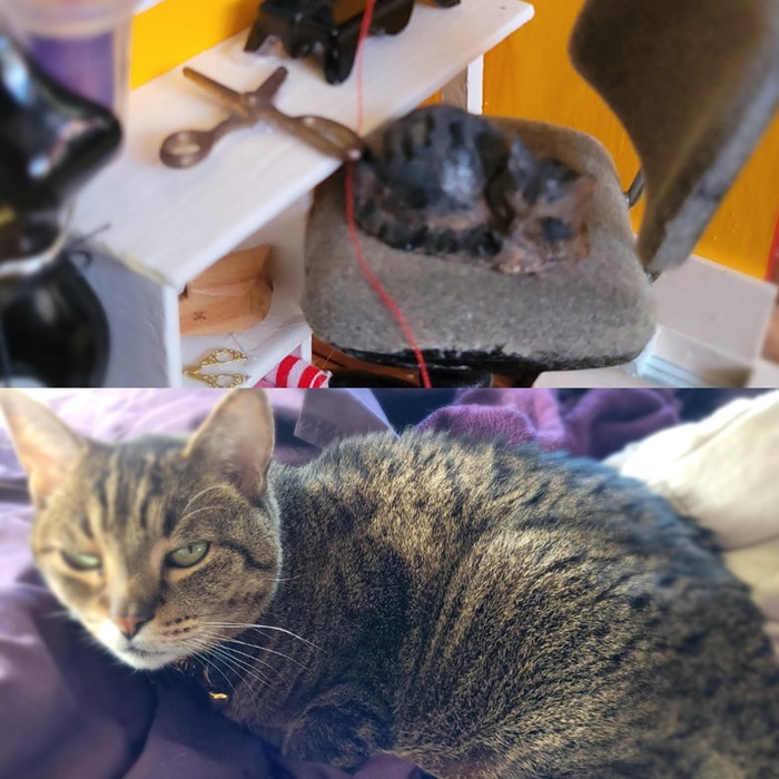 Animals
