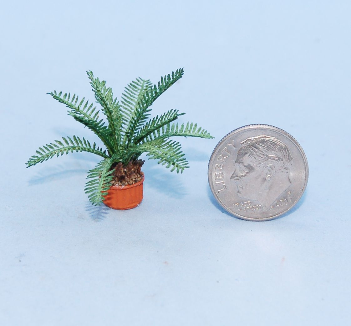 Sago Palm workshop